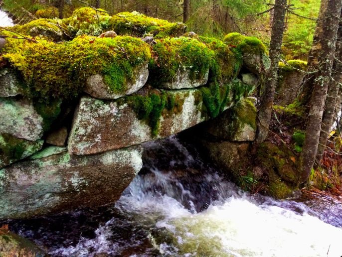 Artikkelbilde til artikkelen Aktiviteter i Åsbygda
